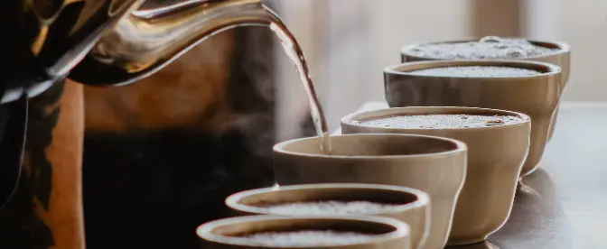 Maîtriser les événements autour du café et les séances de dégustation cover image