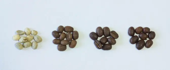 Welche Kaffeeröstung beinhaltet das meiste Koffein? Lassen Sie es uns herausfinden cover image