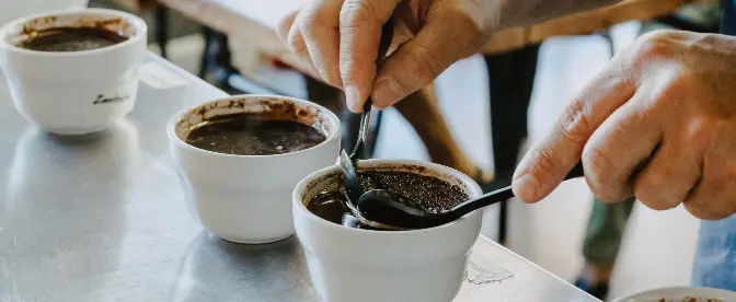 Dégustation de café : qu'est-ce que c'est et comment en effectuer une cover image