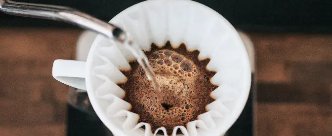 Wasser für Kaffee: Warum es eine Rolle spielt cover image