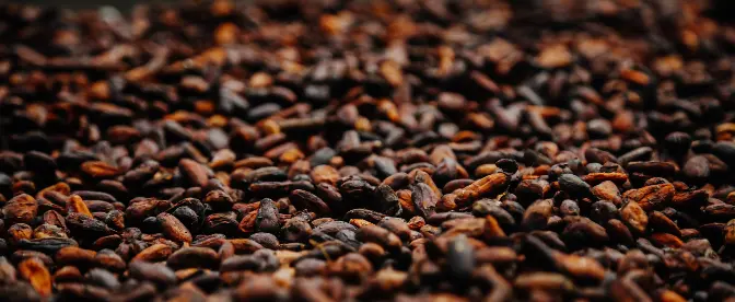 Cafeína em grãos de café espresso com cobertura de chocolate cover image