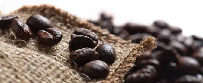 Fair Trade Coffee: En kort guide cover image