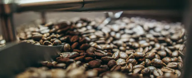 Best Online Coffee Roasters cover image