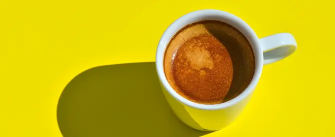 Melhores marcas de café Costco cover image
