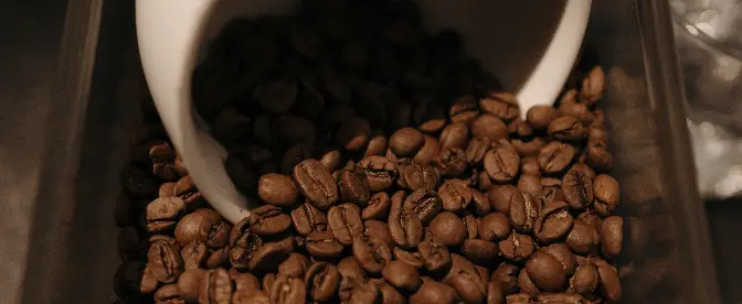 Baratza Encore Grind Settings cover image