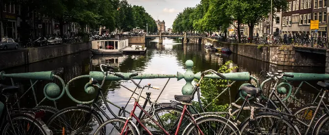 L'expérience du café néerlandais: cafés, méthodes de brassage et traditions locales cover image