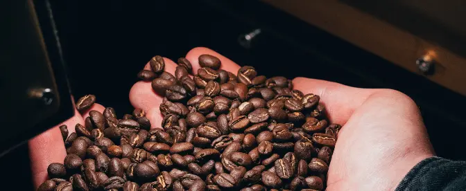 Revolutionizing Coffee Roasteries with Renewable Energy cover image