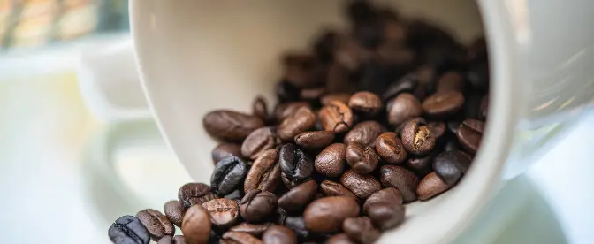 What is Direct Trade Coffee? cover image