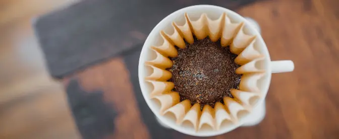 Guia de métodos de preparação de café cover image