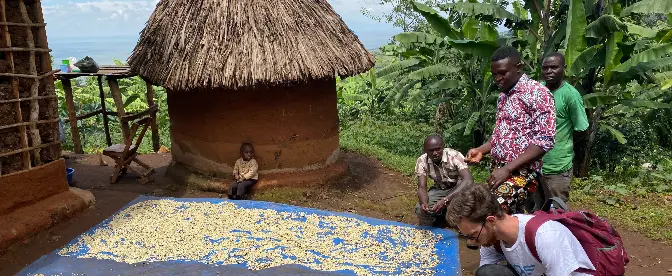 Um mergulho profundo no café de Uganda cover image