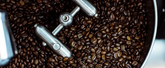 How To Roast Your Own Coffee Beans cover image