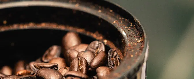 How Long Does a Coffee Grinder Last: Lifespan Explained