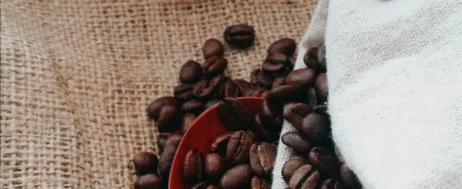 Las mejores marcas de café de baja acidez cover image