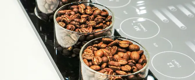 Embracing Eco-Friendly Practices in Coffee Roasting: Innovative Techniques and Case Studies for a Sustainable Future cover image