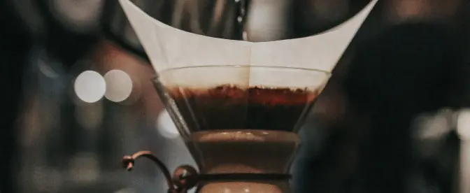 Infused Coffees: Eine Erkundung von Geschmack, Gesundheit und dem Kaffeeerlebnis cover image