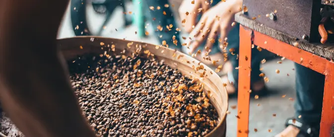 Coffee Processing Methods: Drying, Washing, Honey Processing – What You Need to Know cover image