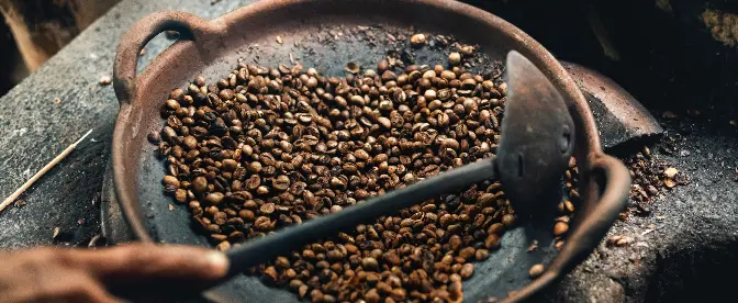 Fermenterat kaffe: en ny version av en gammal dryck cover image