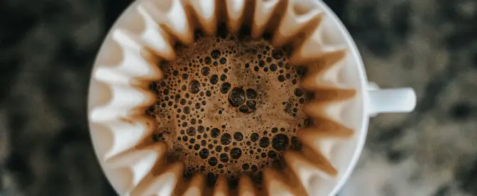 Et nærmere kig på internationale kaffemesterskaber og deres indflydelse på kaffekvalitet. cover image
