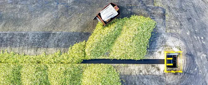 Defining Resilience: The First Step of Supply Chain Management cover image
