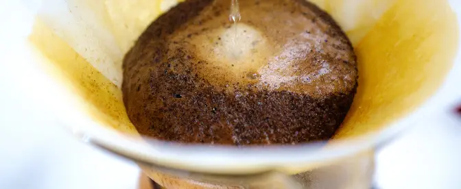 Decoding the Brew: Uncovering How Much Sodium is in Your Cup of Coffee cover image