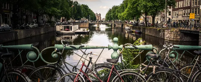 Bästa kaféerna i Amsterdam cover image