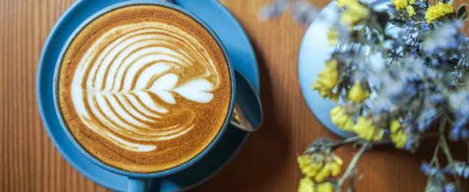 ¿Qué es un Flat White? ¿En qué se diferencia de un café con leche? cover image