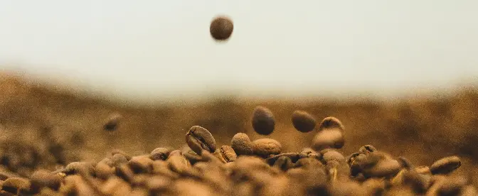10 mitos del café para dejar atrás en 2022 cover image