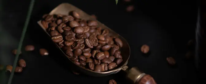 Can Fine Robusta Be Considered Quality Coffee cover image