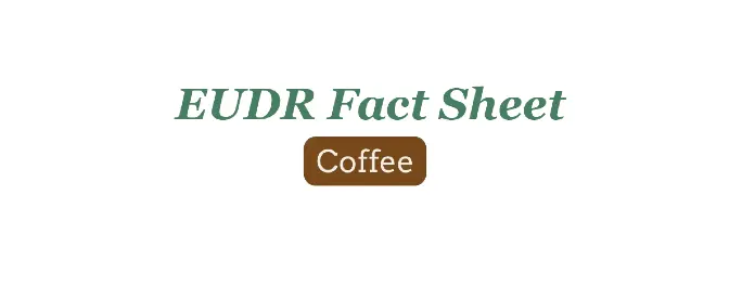 EUDR Fact Sheet: A Guide to Coffee cover image