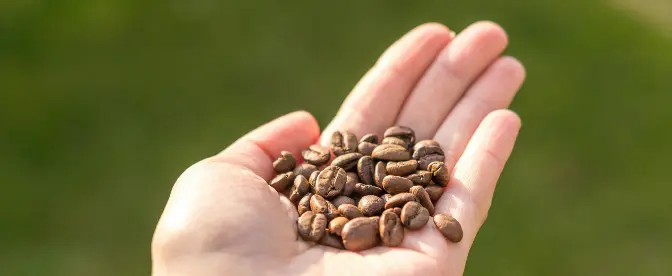 Traceability Beyond Compliance: How Companies Can Boost Profits, Increase Efficiency, and Connect with Customers cover image