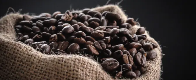L'émergence du café neutre en carbone cover image