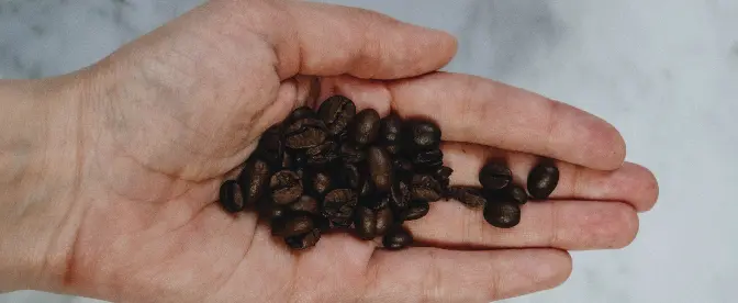 Avkodning av robustakaffe cover image