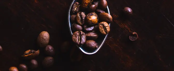 Elaboración de café: El ratio perfecto cover image