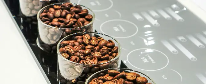 Die Kunst und Wissenschaft des gleichmäßigen Kaffeeröstens cover image