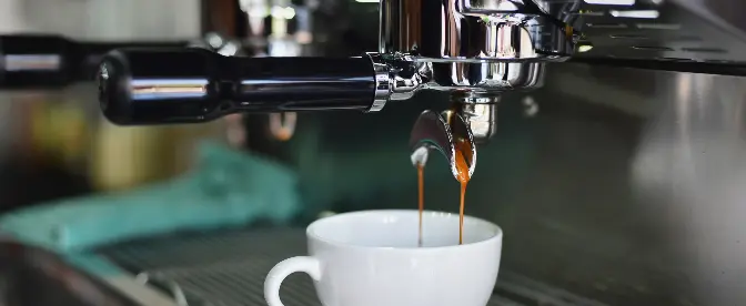 How Long Do Breville Espresso Machine Last? cover image