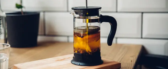 How to make a cold brew with a French Press   cover image